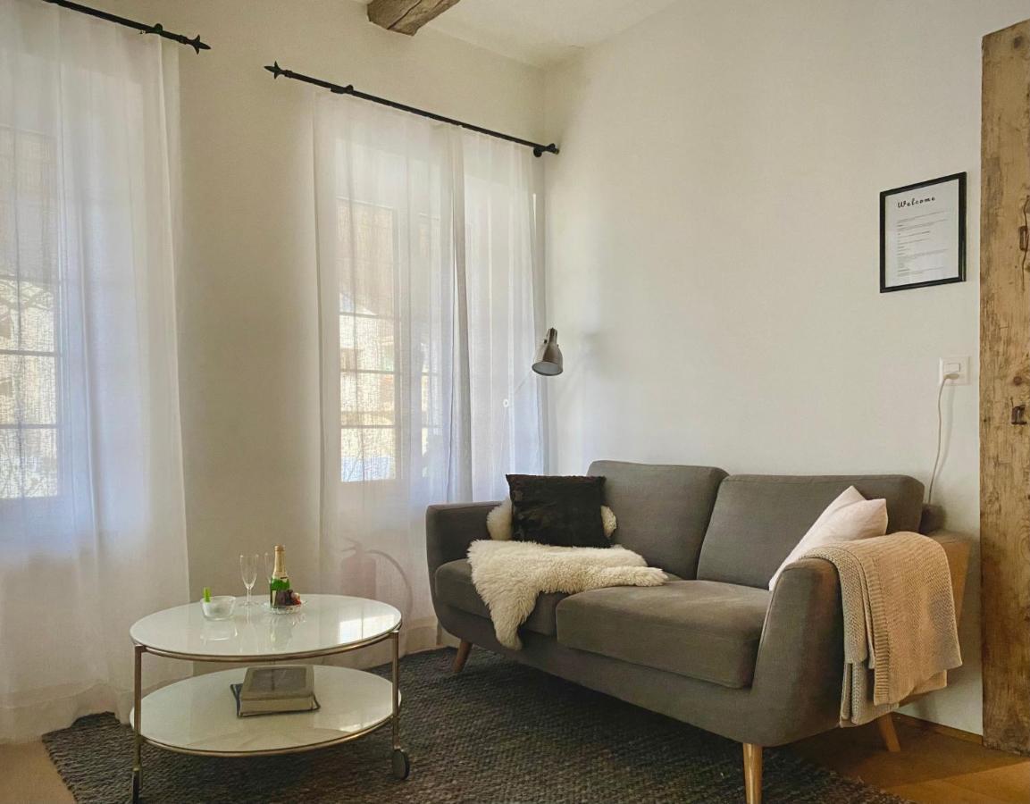 Beautiful Studio In A Villa From 18Th Century Thoune Extérieur photo